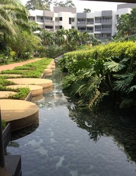 Meadows @ Peirce (D26), Condominium #198976662